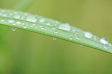 裂开！《星球大战：亡命之徒》MTC用户评分4.8分